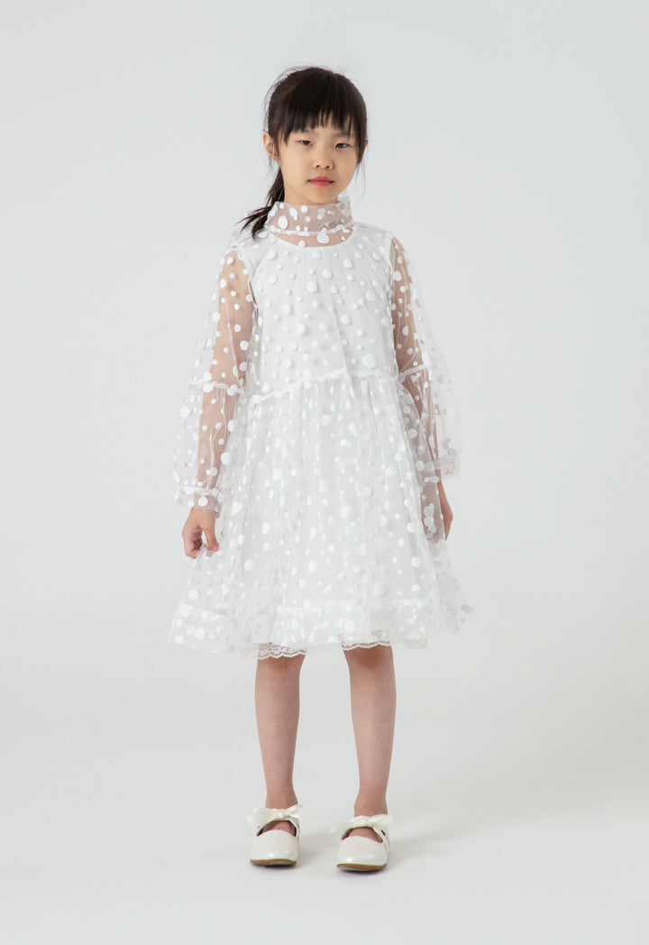 mesh lantern sleeve dress Polka Dot Flocked Mesh Lantern Sleeve Dress – ZAY