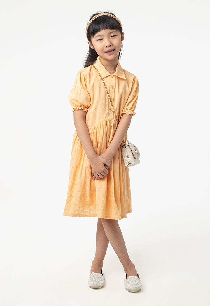 Solid Collared Drop Waist Casual Dress  ZAY