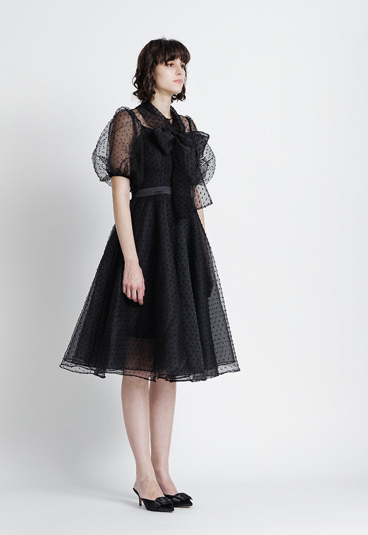 Dobby Double Layered Tulle Dress