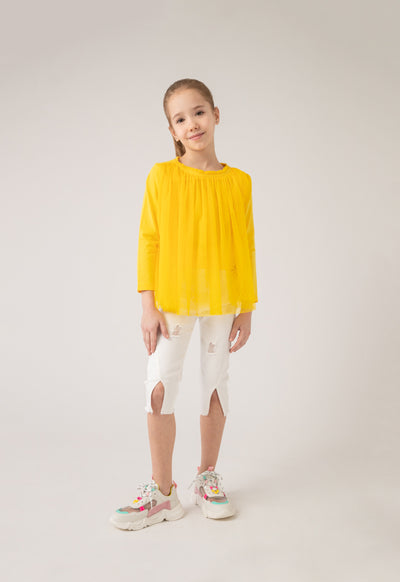 Ruffle Neckline Tulle Overlay Blouse