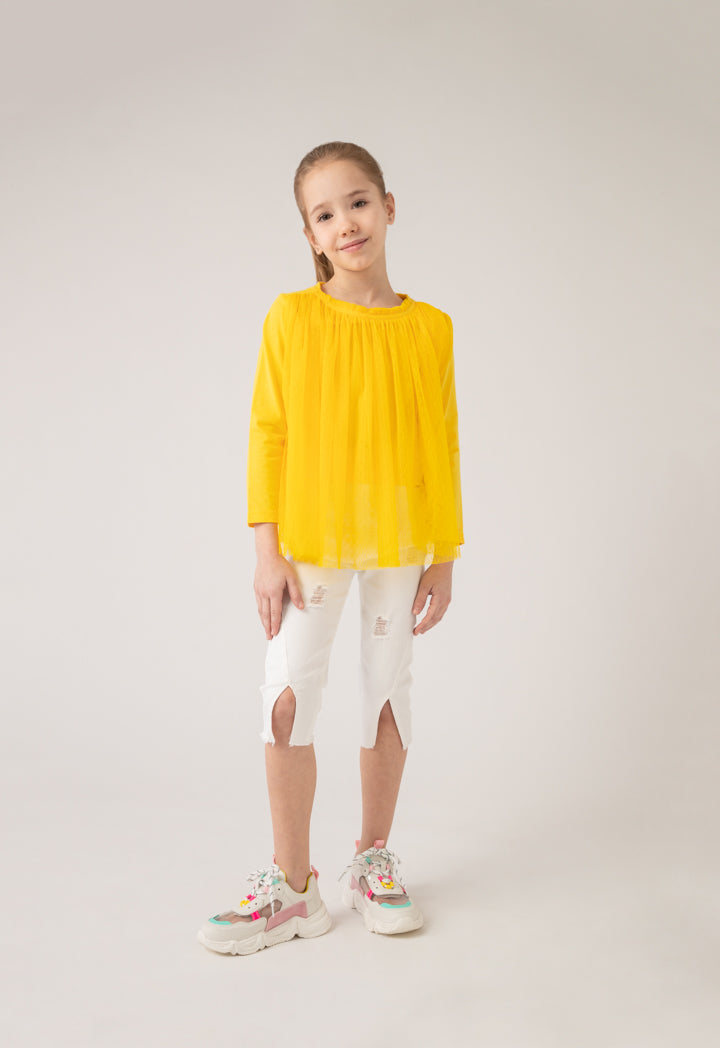 Ruffle Neckline Tulle Overlay Blouse