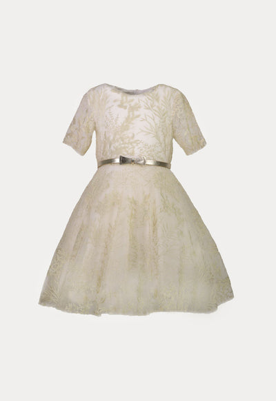 Embroidered Tulle Belted Dress