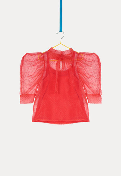 Tie Neck Puff Sleeve Organza Blouse