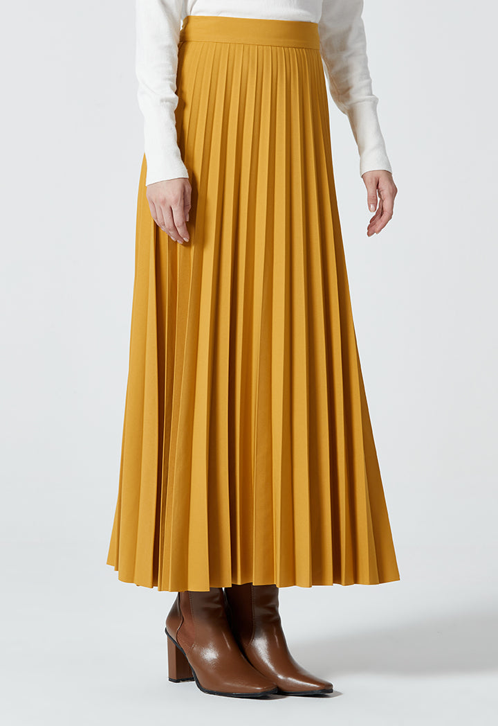 Even Pleated Classic Fit Solid Skirt