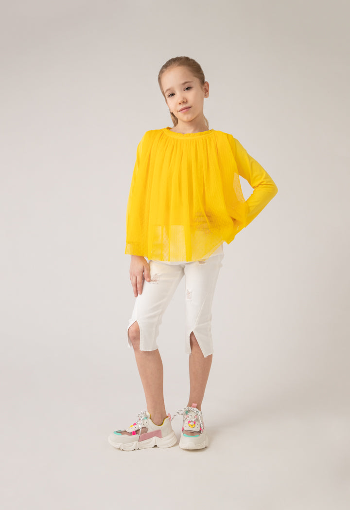 Ruffle Neckline Tulle Overlay Blouse