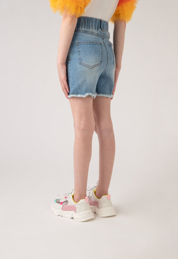 Embroidered Denim Shorts