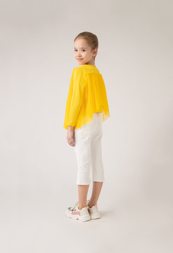Ruffle Neckline Tulle Overlay Blouse