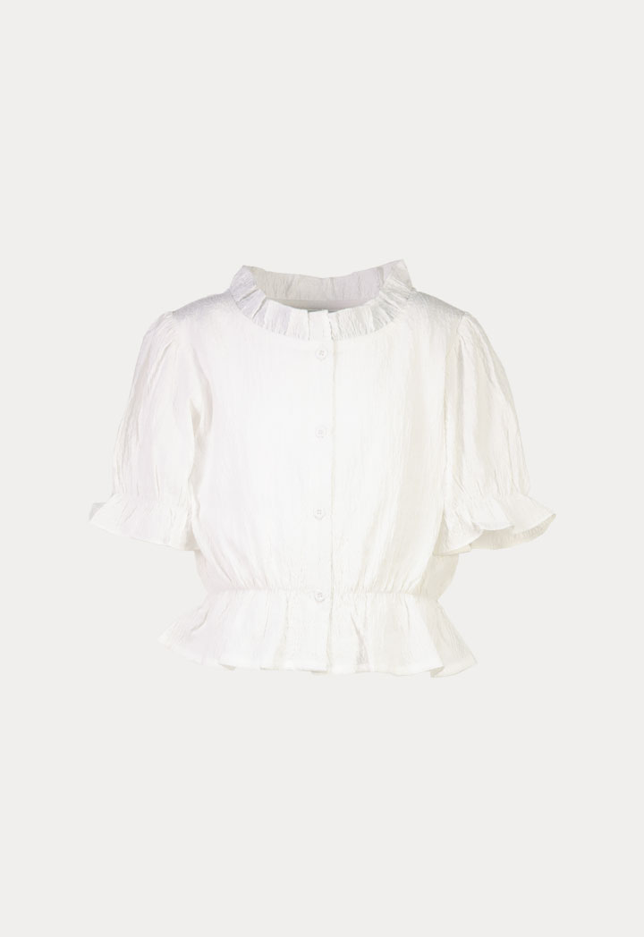 Frill Textured Button Up Crop Top Blouse