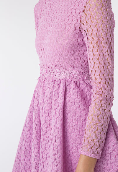 Mesh Embellished Lace Dress