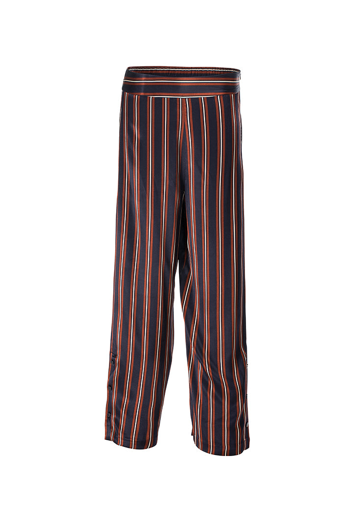 Shiny Striped Pants