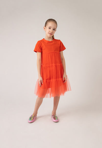 Tulle Overlay Dress