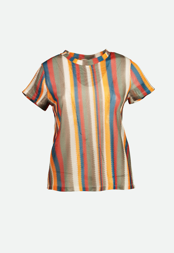 Vertical Multicolor Stripe T-Shirt