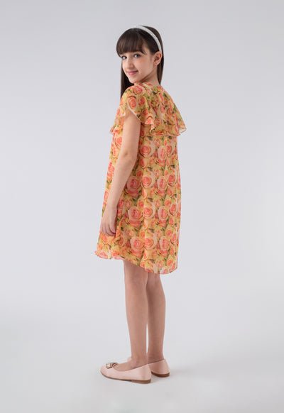 Overlay Floral Dress
