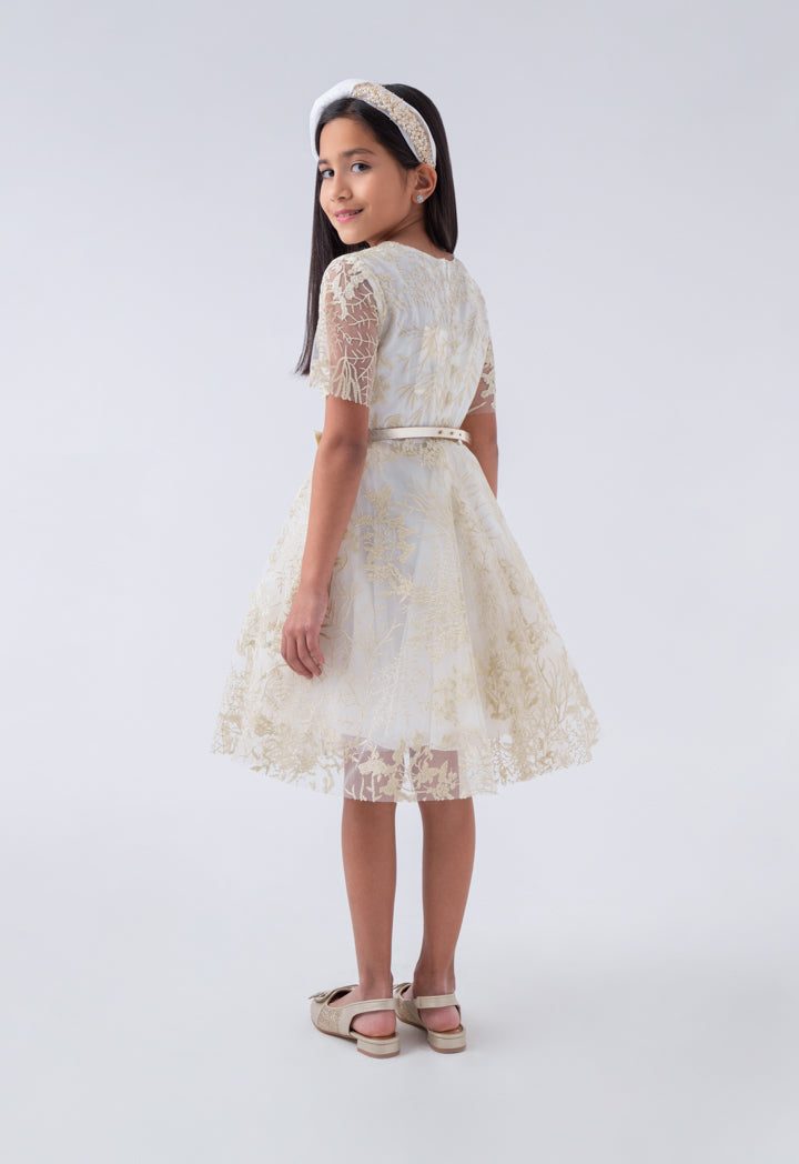Embroidered Tulle Belted Dress