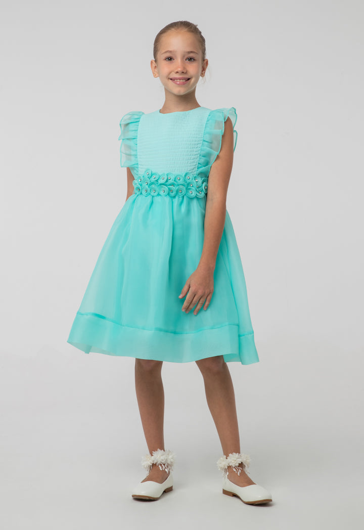 Solid Organza Frill Rhinestones Embellish Sleeveless Dress