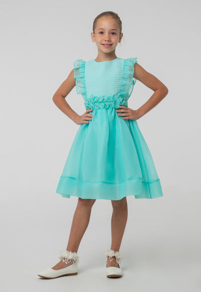 Solid Organza Frill Rhinestones Embellish Sleeveless Dress