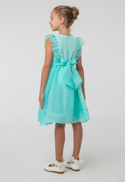 Solid Organza Frill Rhinestones Embellish Sleeveless Dress